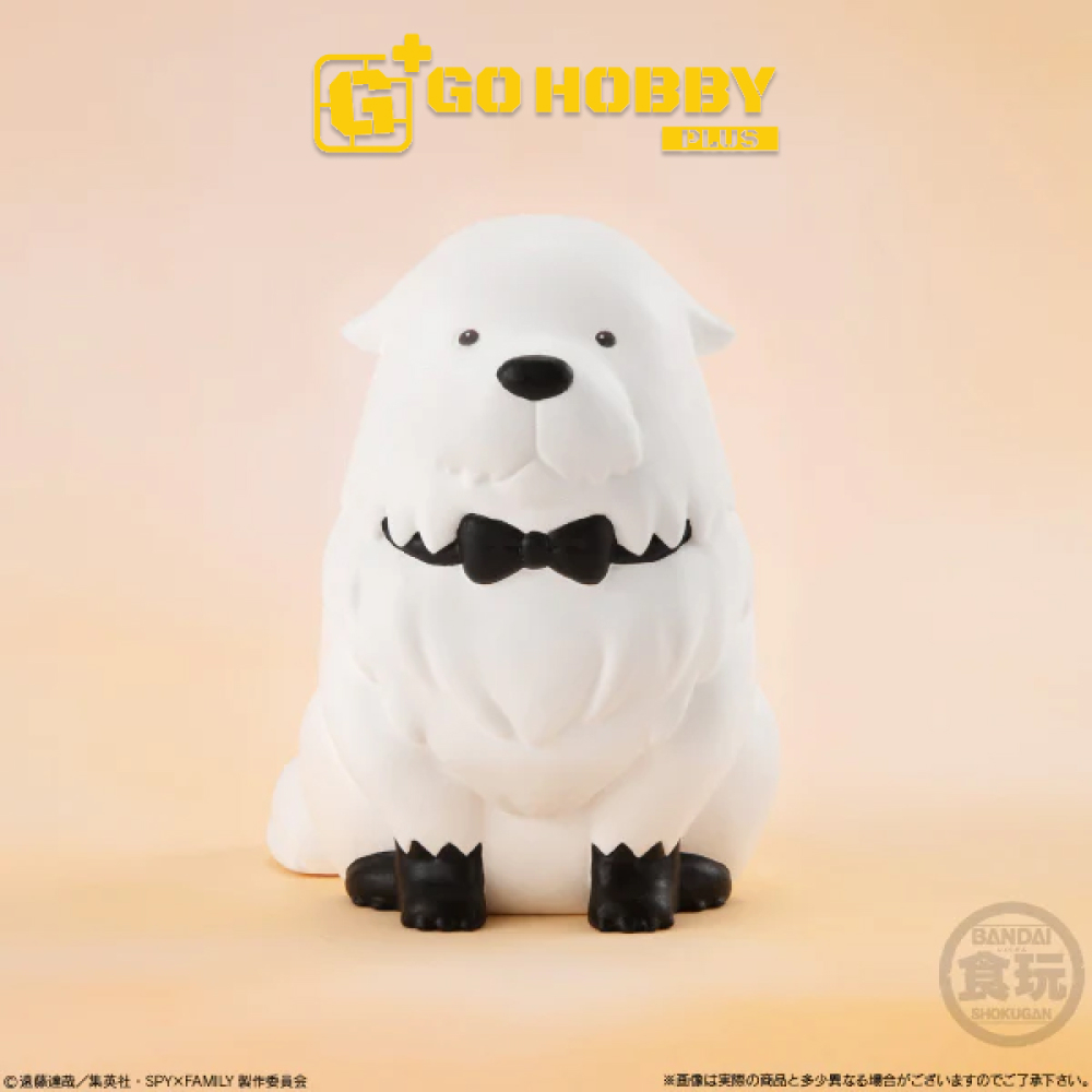 SHOKUGAN | Rirakotto SpyxFamily Blind Box  | Đồ chơi mô hình CANDYTOY