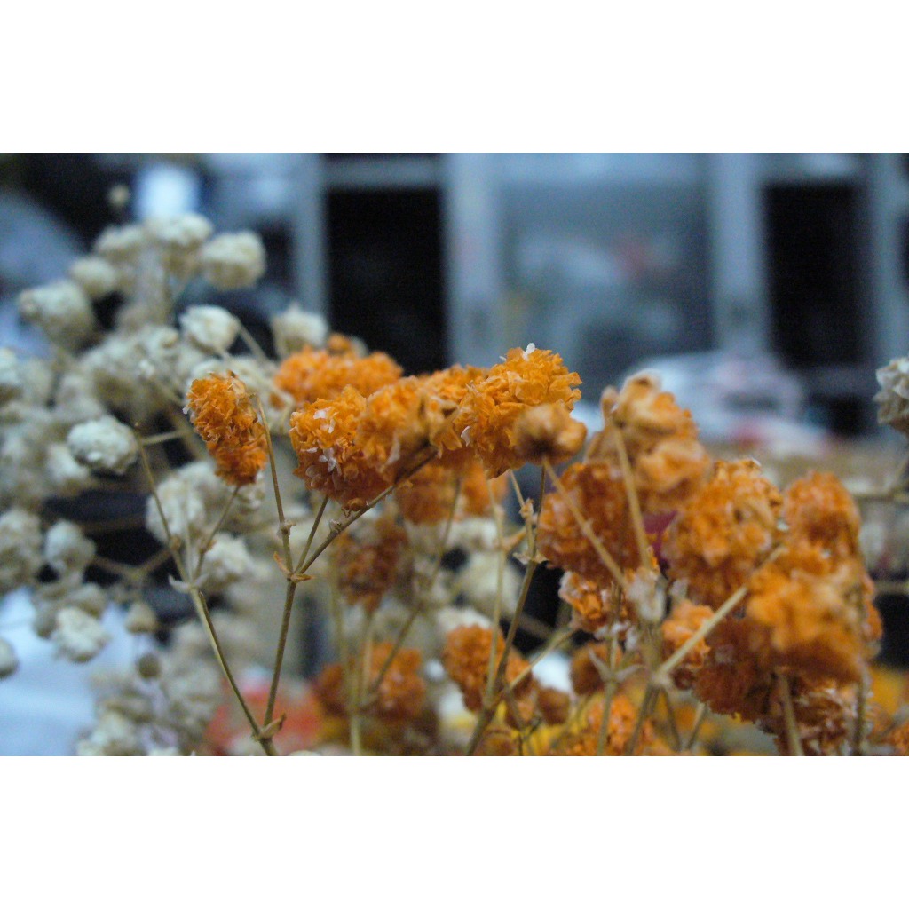 Máy ảnh du lịch  Lumix DMC LZ5 màu đẹp