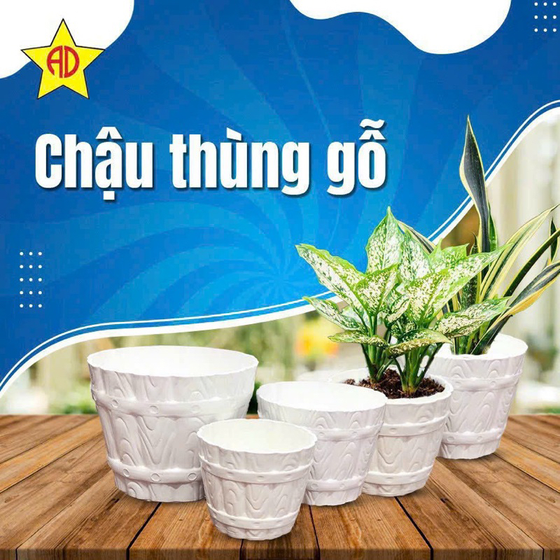 Chậu nhựa thùng gỗ, nhựa dày, chậu nhựa để bàn, chậu trồng cây