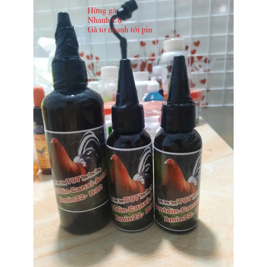 T97 nuôi gà tơ nhanh cự, hừng gà tốt