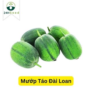 Hạt giống mướp táo đài loan gói 5 hạt 24HSeed