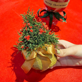 Cây thông Noel mini, cây thông noel để bàn, quà tặng giáng sinh, decor giáng sinh, trang trí giáng sinh -M41