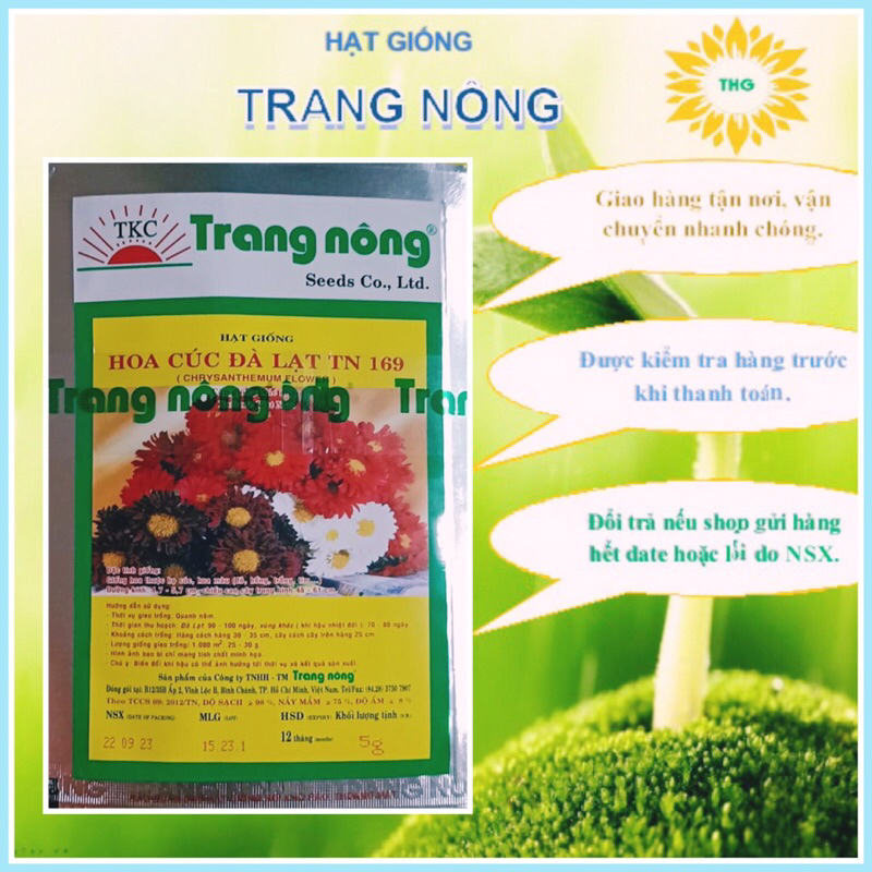 5gr hạt giống hoa cúc Đà Lạt nhiều màu Trang Nông (gần 2500 hạt)