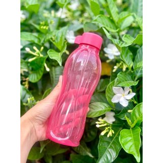 Bình Nước Eco có nắp vặn