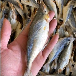 1kg Khô Cá Nục mặn ngon