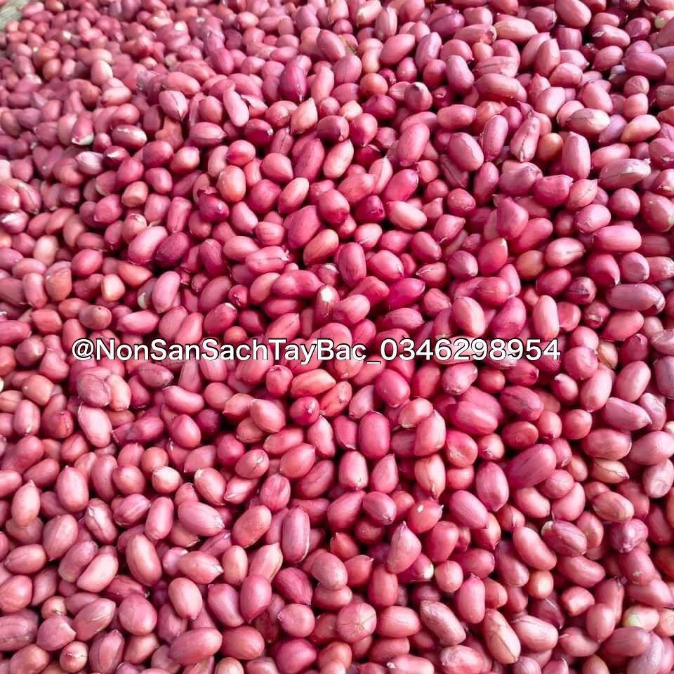 1kg Lạc Dé Đỏ Tây Bắc Tách Vỏ Thơm Ngon Béo Ngậy