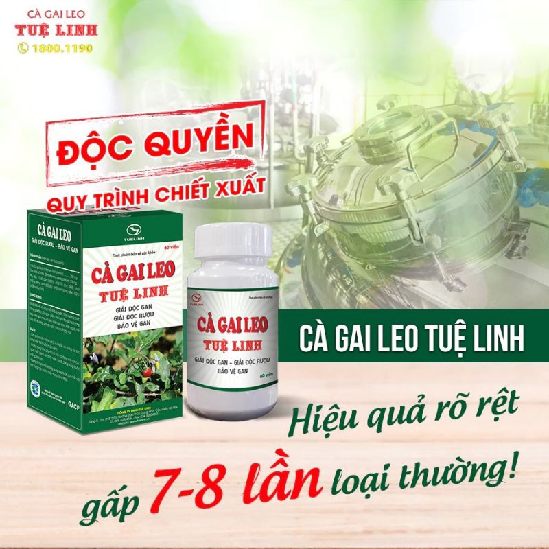 CÀ GAI LEO TUỆ LINH_có tem tích điểm, tặng gói cao khô khi mua 2h_Giúp hỗ trợ hạ men gan, bảo vệ gan, hạ men gan nhanh