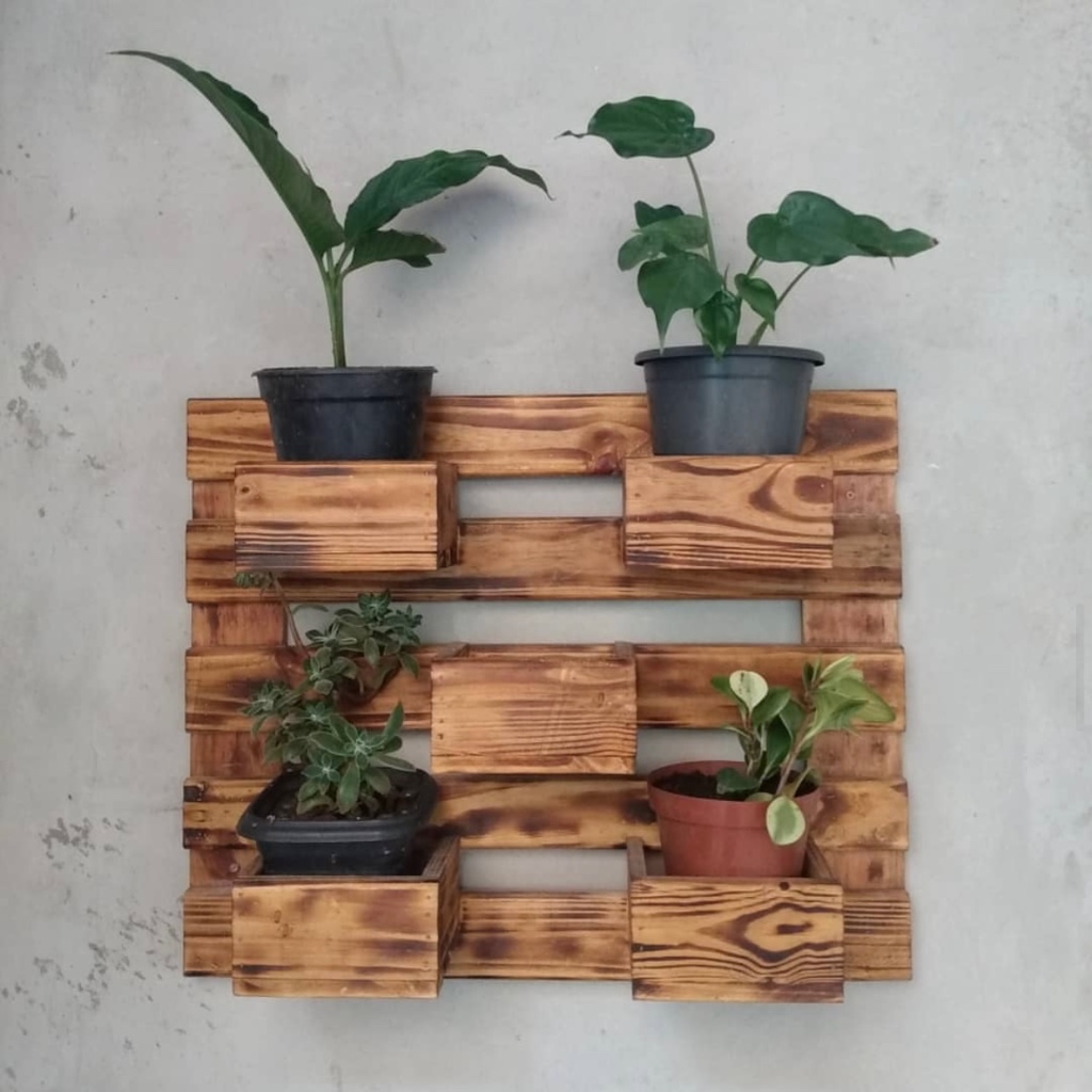 Kệ Gỗ Treo Tường Đựng Chậu Cây Nhỏ Decor, Được Làm Từ Gỗ Thông Tự Nhiên