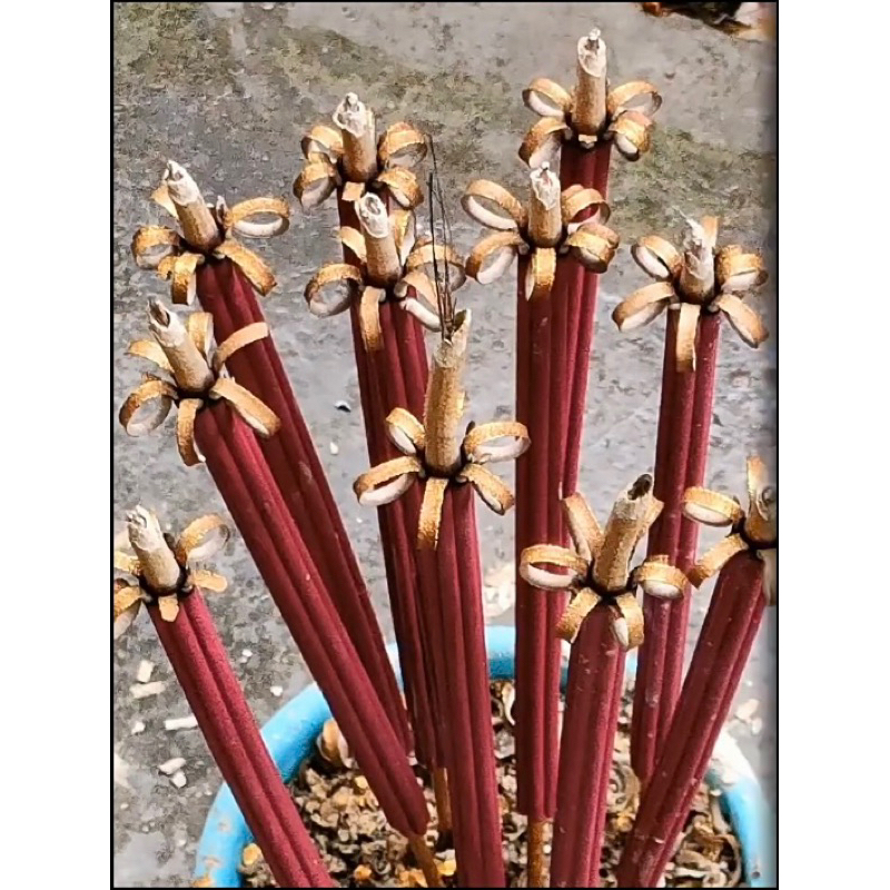 Nhang Nở Hoa (18 cây-6 cánh)- Khai Hoa Phú Quý Tài Lộc