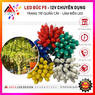 Đèn led đúc F5 12V quấn cây, làm biển quảng cáo, đèn trang trí cảnh quan ngoài trời