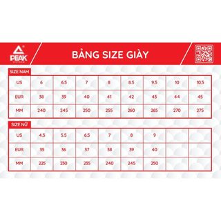 Giày chạy bộ Nam PEAK Running Counter mã E231297H