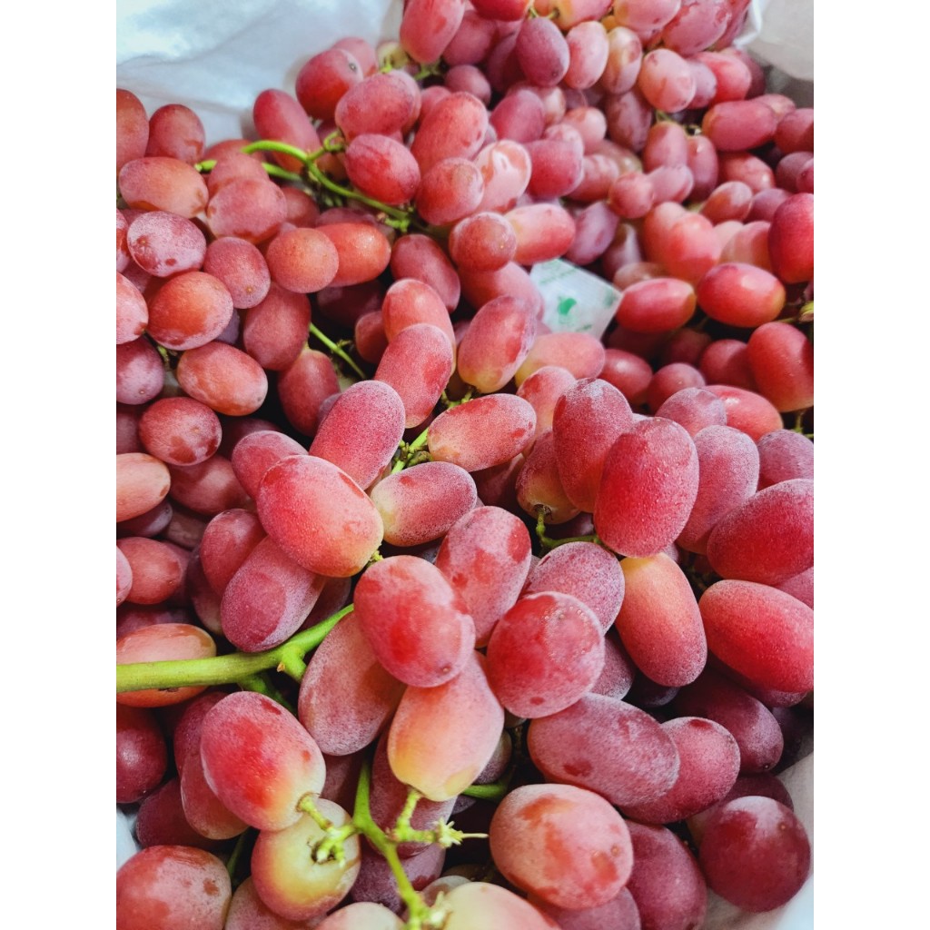 1kg Nho Ruby ngon ngọt cuống có xanh có se.