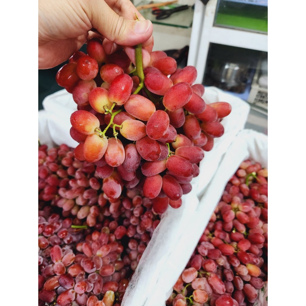1kg Nho Ruby ngon ngọt cuống có xanh có se.
