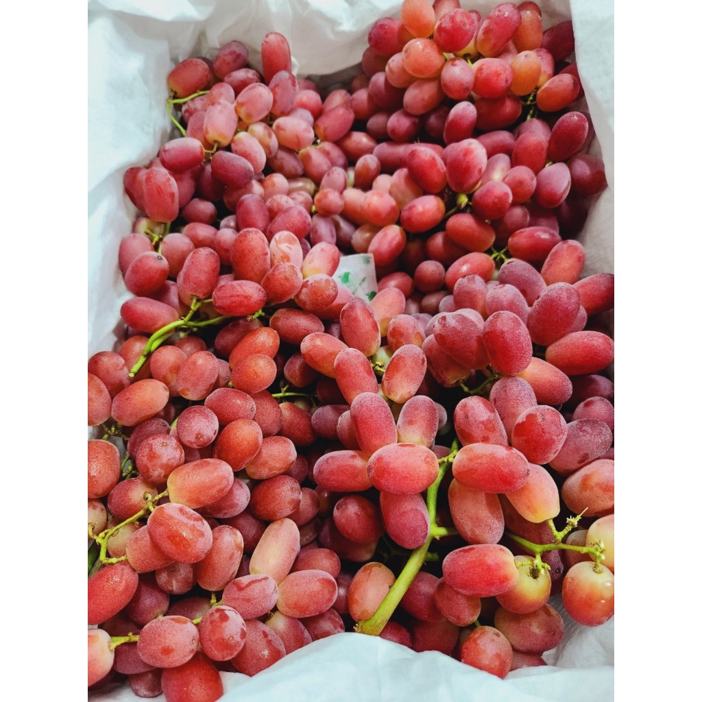 1kg Nho Ruby ngon ngọt cuống có xanh có se.