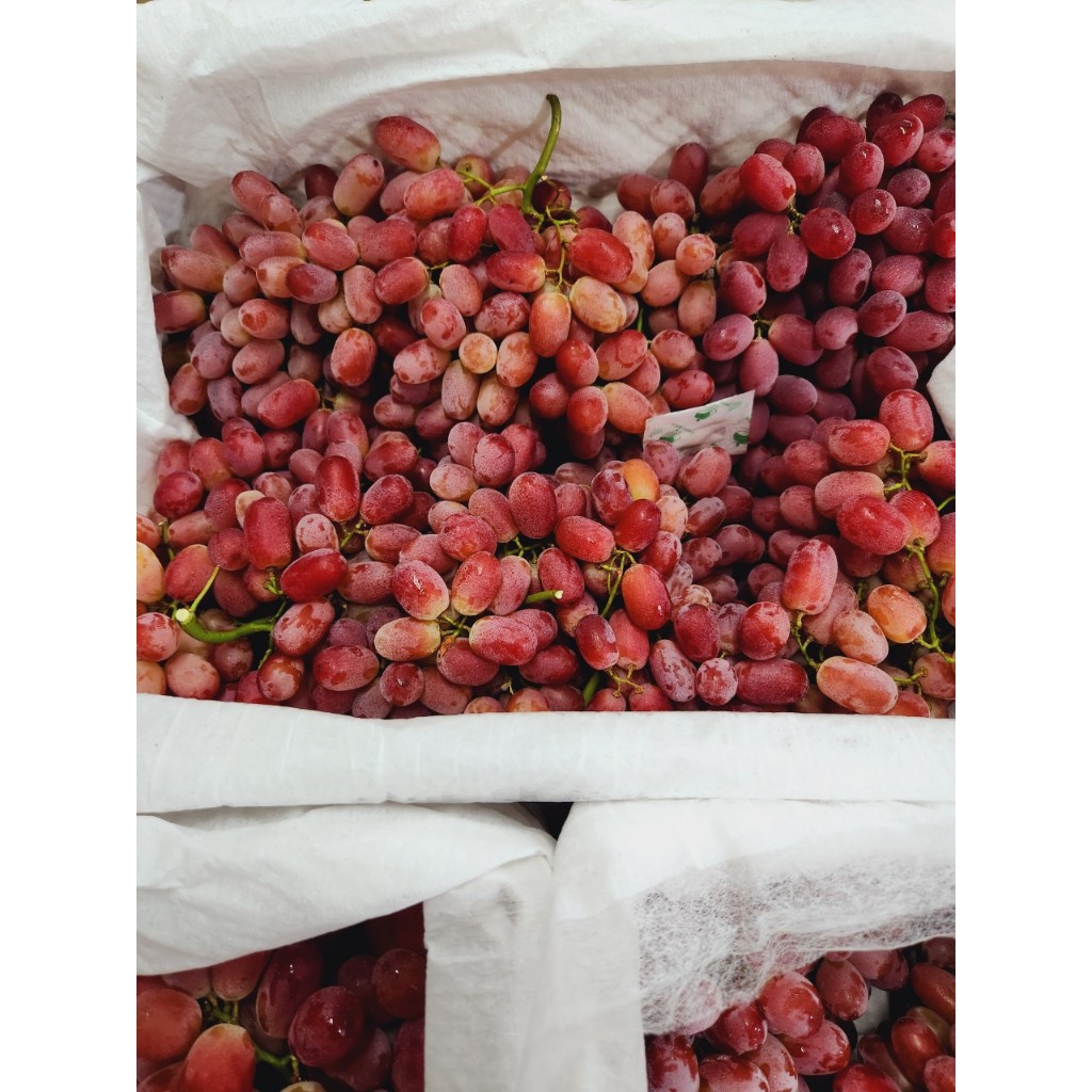 1kg Nho Ruby ngon ngọt cuống có xanh có se.