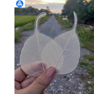 Lá bồ đề ép - ốp điện thoại