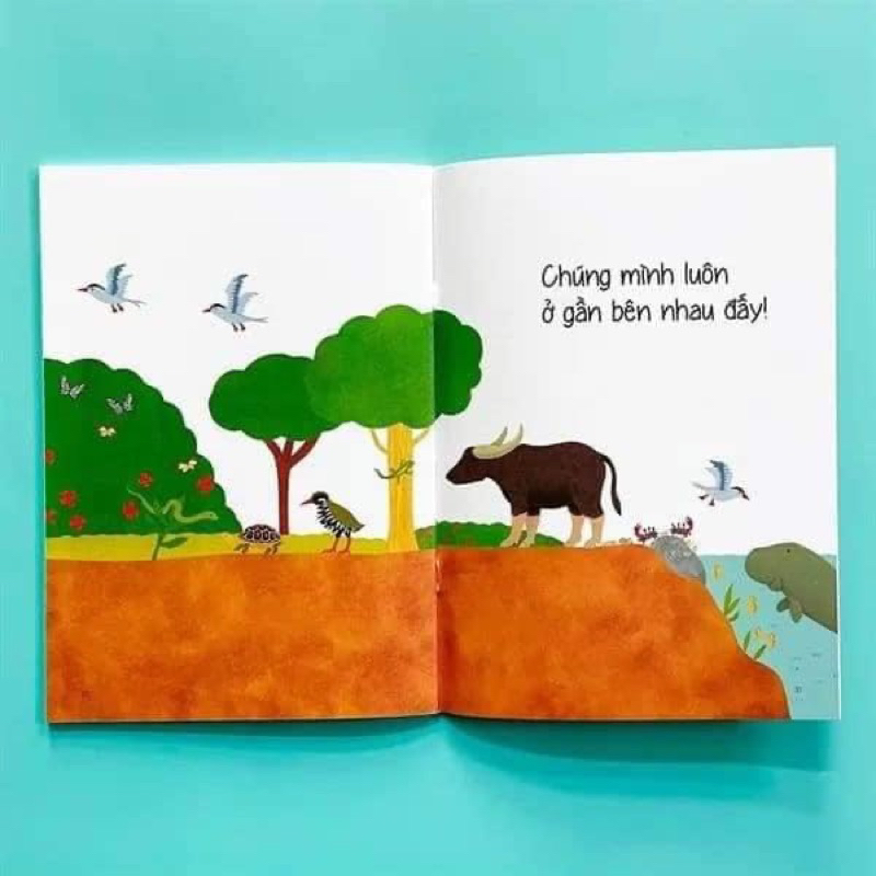 Sách Ehon Nhật Bản - Ai ở sau lưng bạn thế? - Combo 6 quyển - Ehomebooks