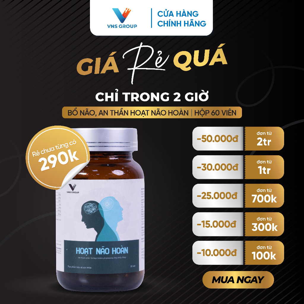 Viên uống bổ não Hoạt Não Hoàn VNS Group tăng cường chức năng bổ não, an thần hỗ trợ tuần hoàn não hộp 60 viên