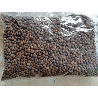 1kg hạt đu đủ chín sấy khô