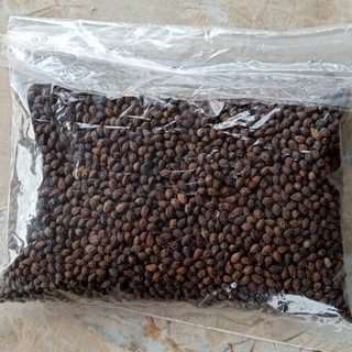 1kg hạt đu đủ chín sấy khô