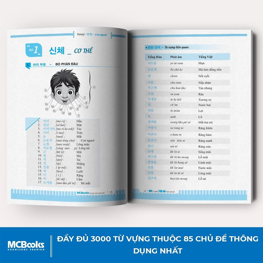 Sách 3000 Từ Vựng Tiếng Hàn Theo Chủ Đề Làm Chủ Từ Vựng Tiếng Hàn Sau 3 Tháng Dễ Dàng Tự Học Cấp Tốc Newbooks