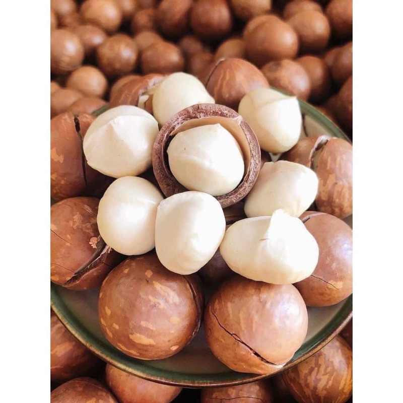 Hạt Macca Đắk Lắk