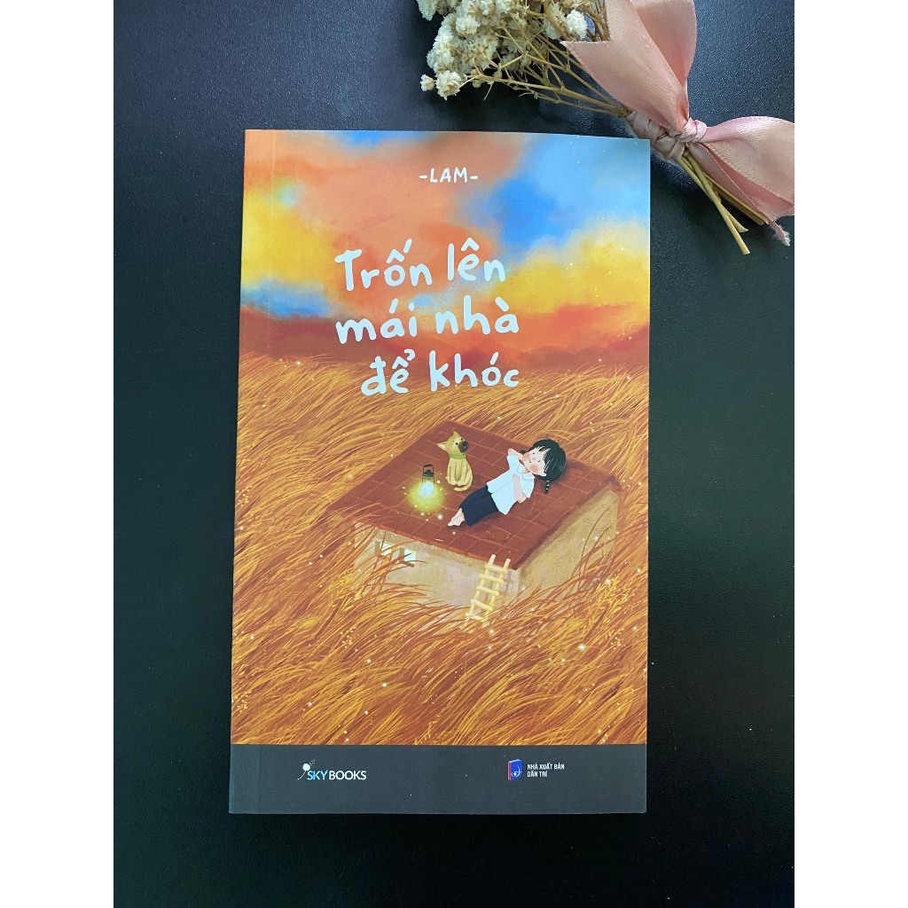 Sách - Trốn Lên Mái Nhà Để Khóc