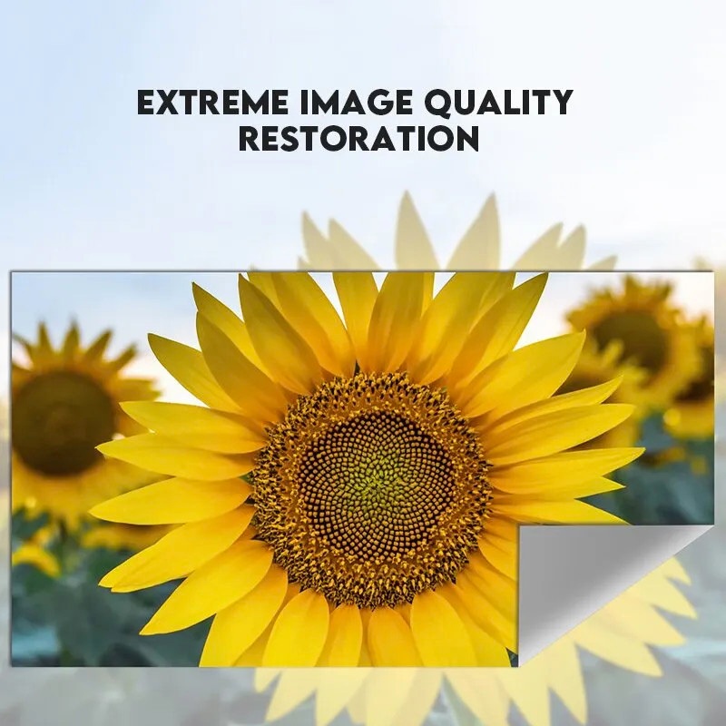 Vải màn chiếu dán tường phản quang tăng độ sáng  cho máy chiếu xa