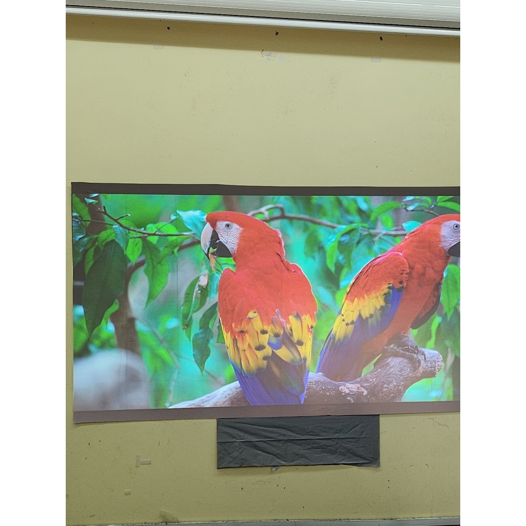 Vải màn chiếu dán tường phản quang tăng độ sáng  cho máy chiếu xa