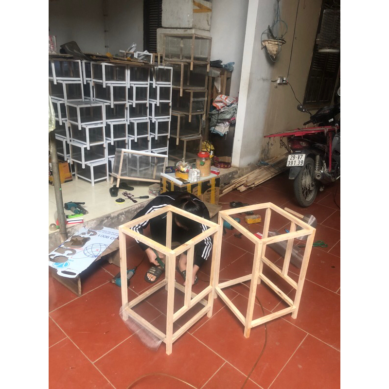 Chuồng nuôi thú cưng, tắc kè hoa ,Chameleon