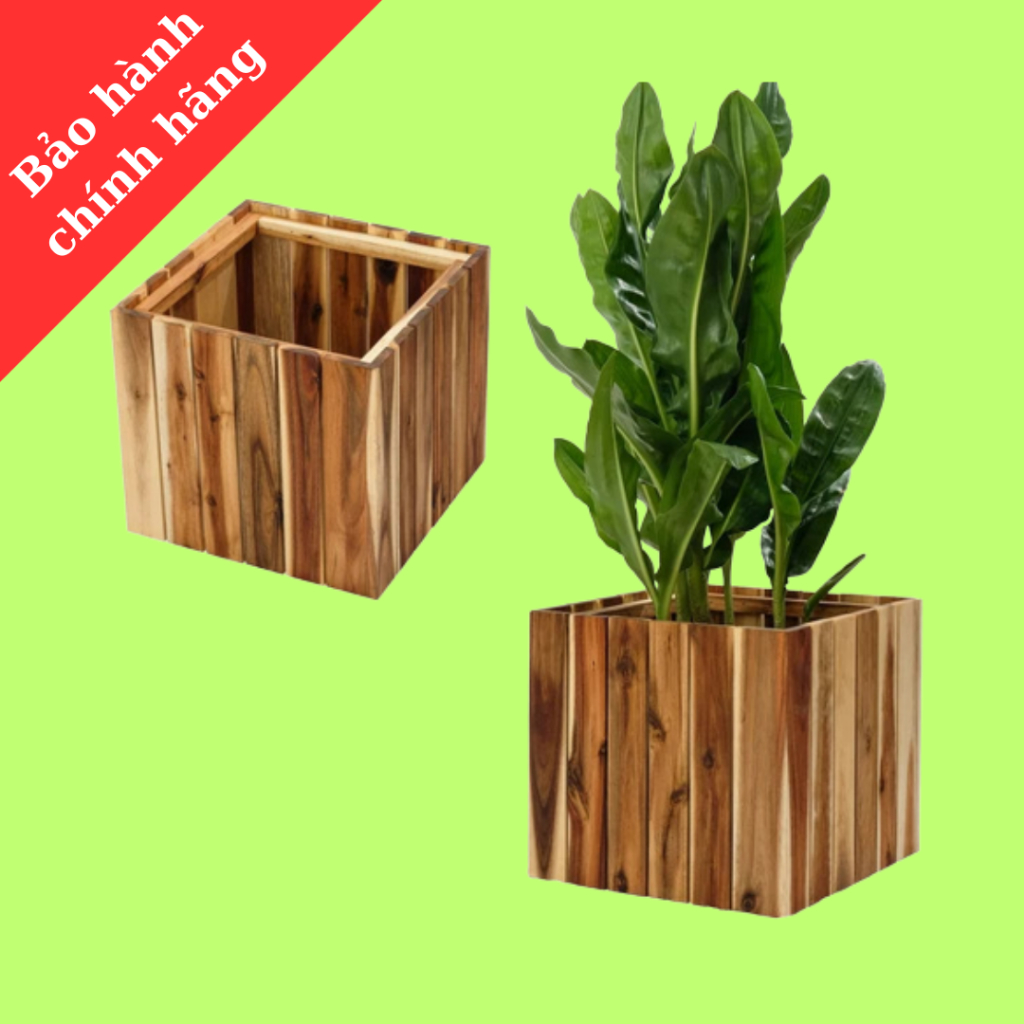 Chậu gỗ trồng cây, chậu gỗ vuông, TopChoice, sen đá, hoa hồng, tulip, chậu nhụa bên trong,, 1 cái.