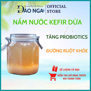 Nấm nước kefir