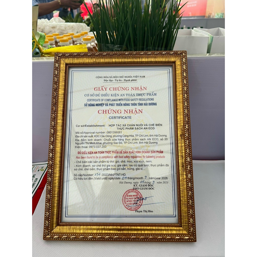 Nem Chua Sạch HTX AnEco OCOP