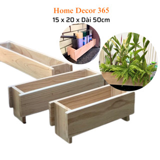 Chậu Cây Cảnh Đẹp Để Bàn Bằng Gỗ Tự Nhiên, Chậu Gỗ Trồng Hoa, Cây Cảnh, Sen Đá