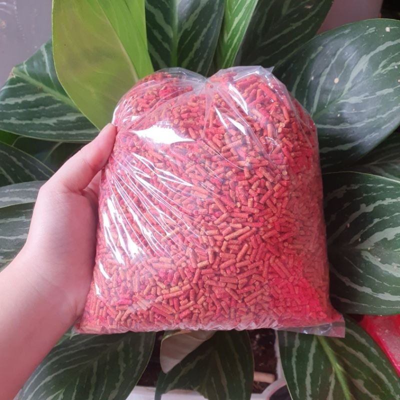 Cám ớt chim sáo, cưỡng bịch lẻ - 500gr