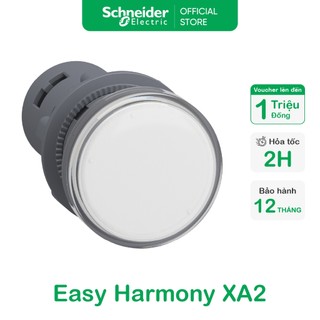 Đèn báo tròn phi 22mm 24v ac/dc schneider xa2evb1lc xa2evb3lc xa2evb4lc xa2evb5lc xa2evb6lc xa2evb8lc