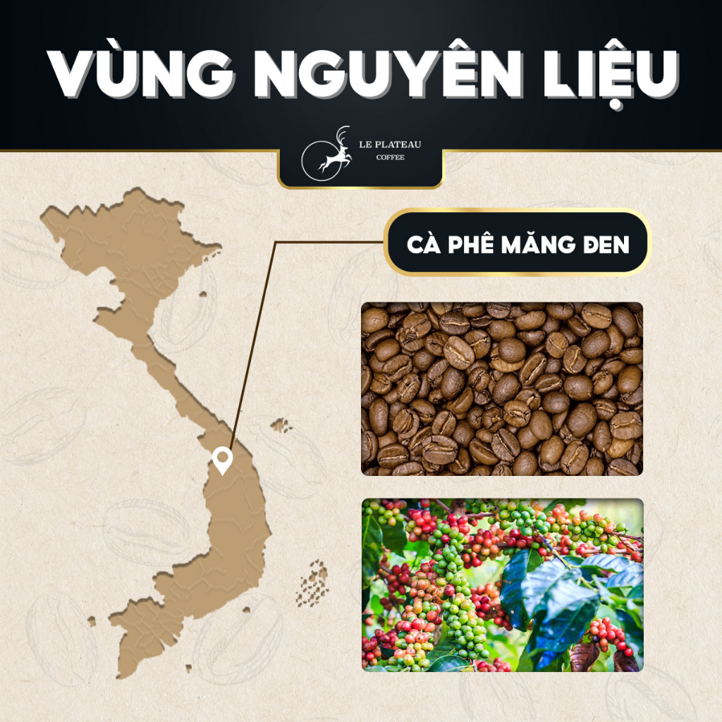 Cà Phê Muối Chuẩn Vị Huế,Cà Phê Hòa Tan Loại Đặc Biệt Thơm Ngon Tiện Lợi - C& Sea, Le Plateau Coffee