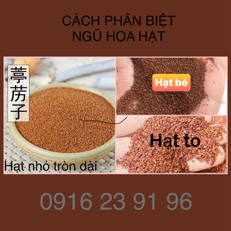 Sỉ 1kg NGŨ HOA HẠT TO, SẠCH á