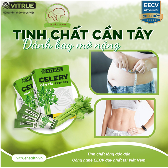 Tinh Chất Cần Tây Nguyên Chất Giảm Cân Đẹp Da, ổn định huyết áp, giúp ngủ ngon Vitrue