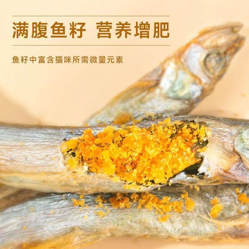 Cá Trứng sấy khô cho chó mèo cao cấp giá dùng thử siêu rẻ NHÍM XÙ PETSHOP