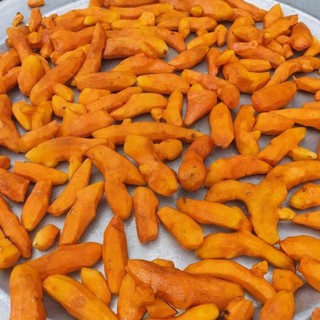 Cốt nghệ mật ong lên men