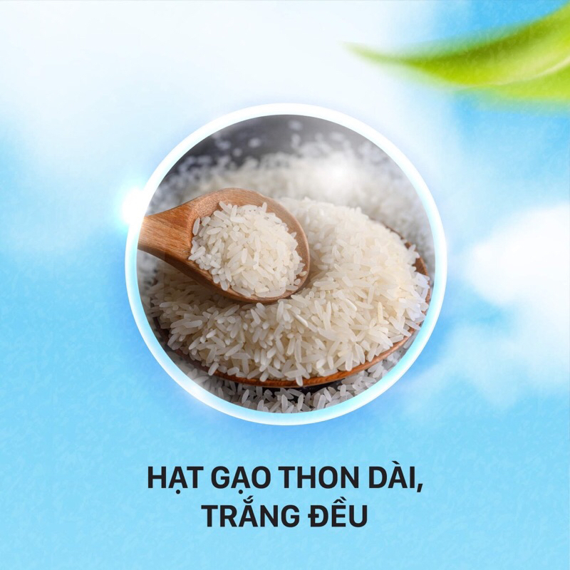 Gạo ST25 A An Túi 5Kg- Cơm mềm dẻo, thơm nhẹ, vị ngọt - Top 1 Gạo Ngon Nhất Thế Giới | BigBuy360 - bigbuy360.vn