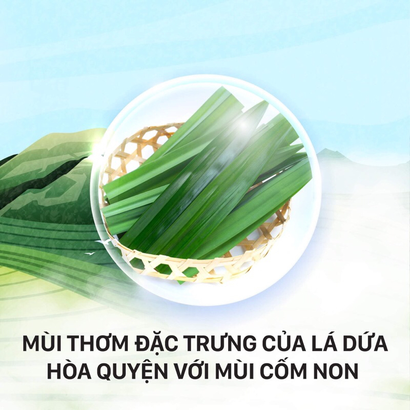 Gạo ST25 A An Túi 5Kg- Cơm mềm dẻo, thơm nhẹ, vị ngọt - Top 1 Gạo Ngon Nhất Thế Giới | BigBuy360 - bigbuy360.vn
