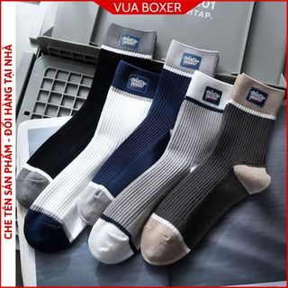 Combo 10 tất nam cổ lửng vớ nam nữ style Hàn Quốc vải cotton kháng khuẩn tất nam thoáng khí dành cho cả nam và nữ SP-5M