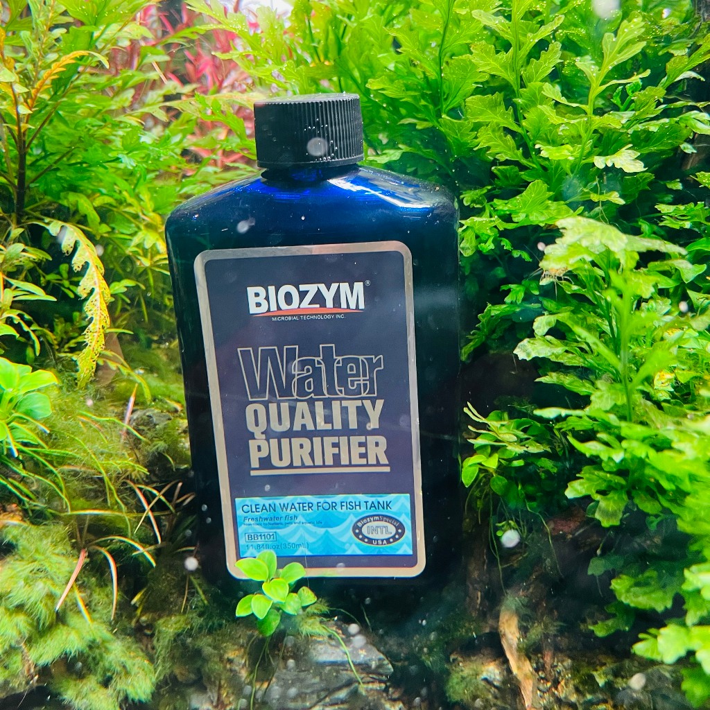 Biozym Water Quality Purifier làm trong nước hồ cá cao cấp