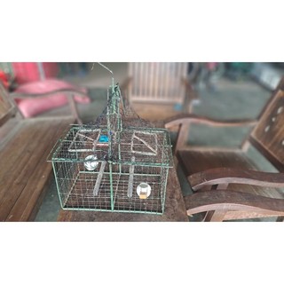 Lưới gắn lồng bẫy Chào Mào lồng vuông