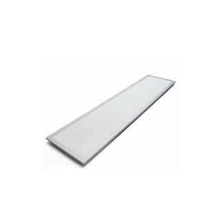 Đèn LED Panel  P08 300x1200 40W  Panel Rạng Đông