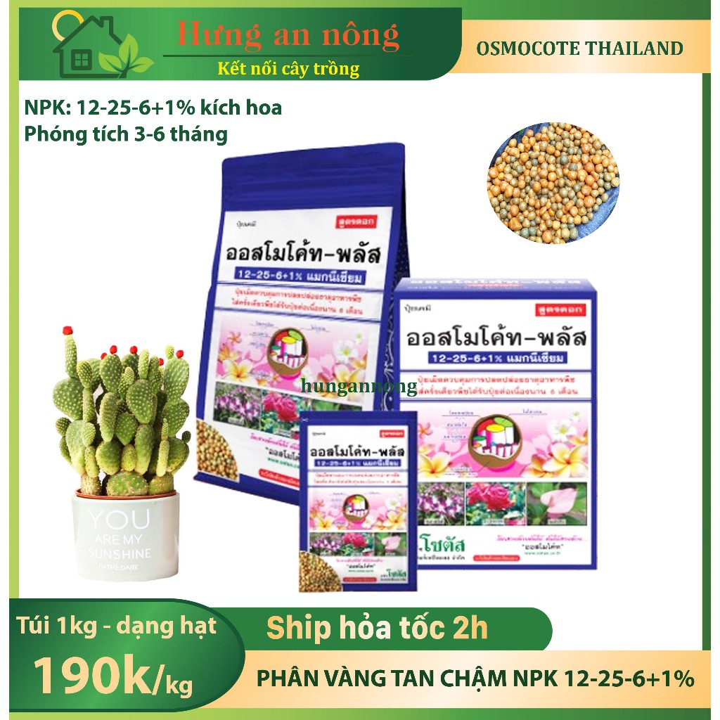 Túi 500g/1kg NPK 12-25-6+1 phân vàng tan chậm Osmocote Thailand kích hoa, hoa to đậm màu phóng thích 3-6 tháng