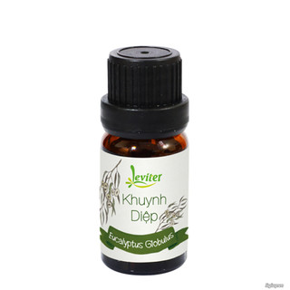 Tinh dầu khuynh diệp Leviter 10ml - 100ml