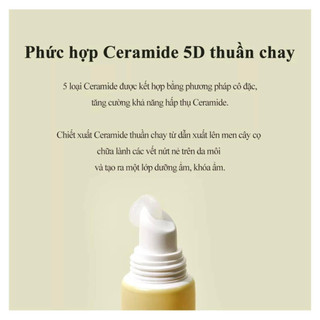Son Dưỡng Torriden Solid In Lip Essence